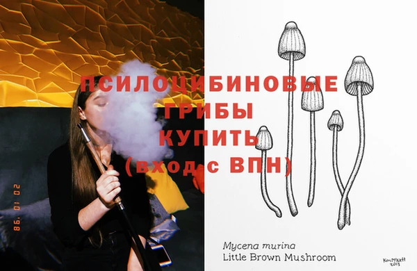 молекула духа Вязники